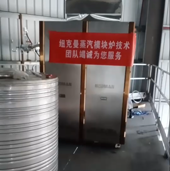 东莞某厂采购一台纽克曼超低氮蒸汽模块炉，设备已调试完毕!